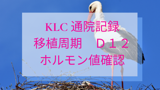 加藤レディスクリニック Klc 凍結胚盤胞 移植周期 D12 ーホルモン値確認 卵胞計測ー Sarah S Diary